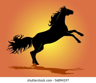Black silhouette of a horse on an orange background