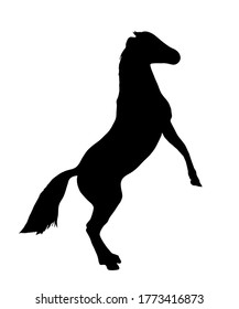 Black silhouette of a horse on a white background. Vector Illustration EPS10