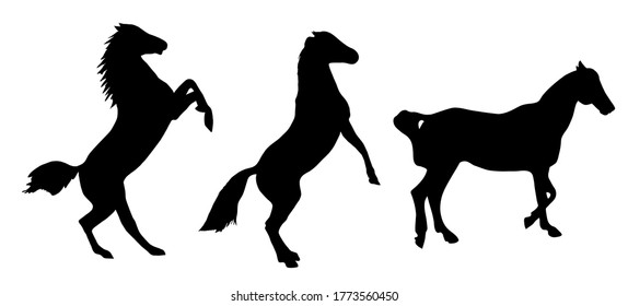 Black silhouette of a horse on a white background. Vector Illustration EPS10