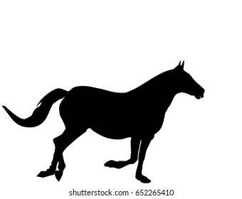 Black silhouette of horse running. Logo icon horse side view profile on white background, vector, eps 10