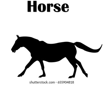 Black silhouette of horse running. Logo icon horse side view profile, white background, vector, eps 10