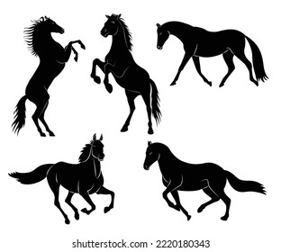 Black silhouette of a horse set. Body silhouettes for designer. There is a variant in a vector. Horse trotting walking silhouette vector icon