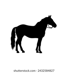 Black silhouette a horse side view isoleted