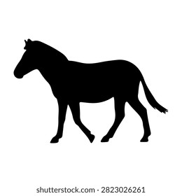 Black silhouette of a horse walking, showcasing its graceful form and flowing tail against a plain background.