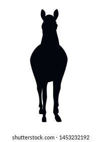 Black silhouette horse wild or domestic animal cartoon design flat vector illustration isolated on white background