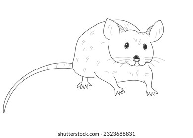 Black silhouette of a house mouse from the front view