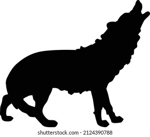 Black silhouette of howling wolf on white background