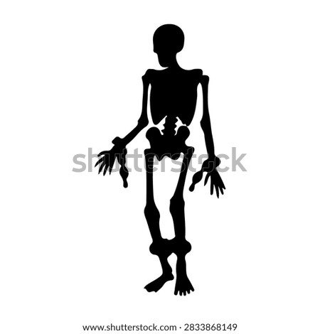 A black silhouette of a human skeleton standing upright against a white background, highlighting skeletal structure and anatomy.