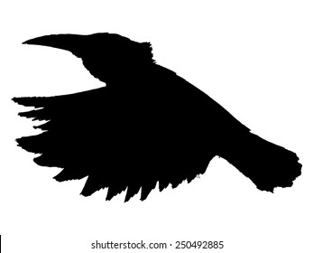 black silhouette of hummingbird