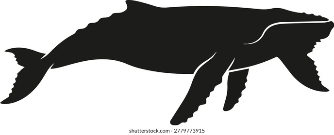 A black silhouette of a humpback whale, showcasing its distinctive body shape and fins, isolated on a white background.
