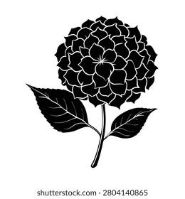 Black silhouette of a hydrangea flower with large petal cluster and two leaves on a white background