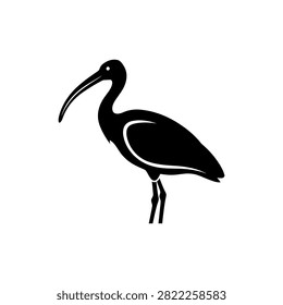 A black silhouette of an ibis bird with a long curved beak standing on a white background.