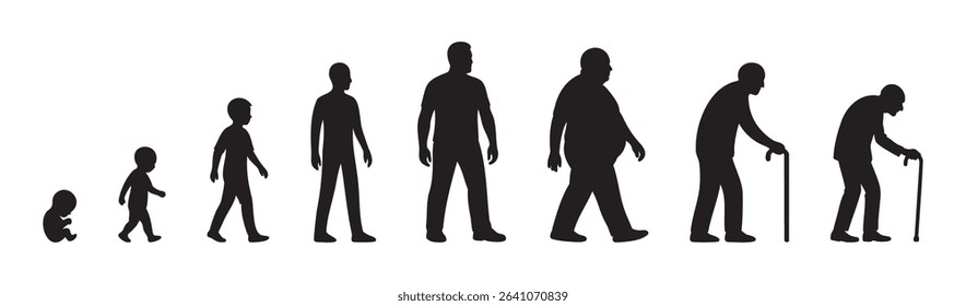 Black silhouette icon set of male life stages from fetus to elderly including baby, toddler, child, teenager, adult man, middle aged, senior person. human aging process, life cycle evolution, lifetime