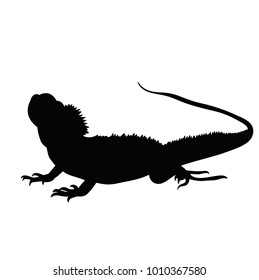 black silhouette of iguana
