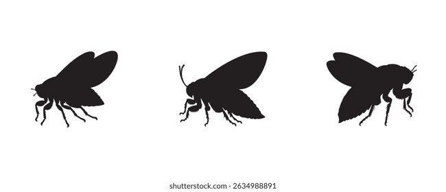 Ilustração em silhueta preta de cigarras com asas largas e pernas detalhadas, isoladas sobre um fundo branco, representando insetos sazonais e vocais que habitam árvores