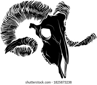 Goat Skull Images Stock Photos Vectors Shutterstock Download this free vector about monochrome goat skull illustration, and discover more than 10 million professional graphic resources on freepik. https www shutterstock com image vector black silhouette illustration goat skull vector 1825873238