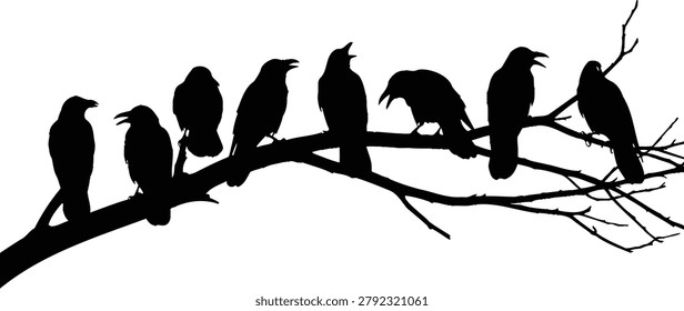 Black silhouette illustration of a group of crows roosting on a tree branch, isolated on a clean white backdrop, suitable for design elements.