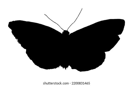 Black Silhouette illustration of moth.