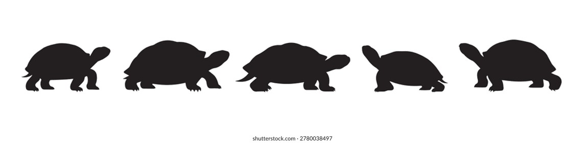 Black Silhouette Illustration of Several Turtles, Isolated in Various Poses. set of turtle tortoise silhouette collection, vector illustration.