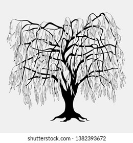 Black silhouette illustration willow tree with leaves. Icon tree isolated on white background. Template for tattoo,  engraving, t-shirt print, home art, decorate wall, logo and flyer design. eps 10
