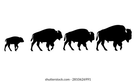 A black silhouette image of four buffaloes of varying sizes standing in a row, highlighting their distinct shapes and sizes.