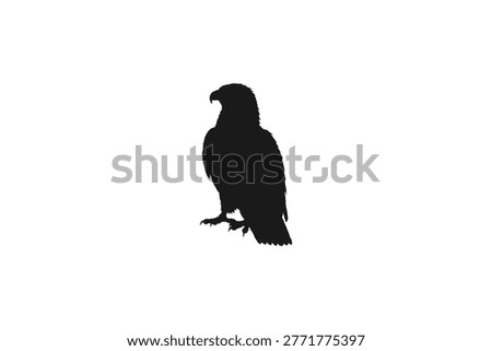 Black Silhouette of an Imperial Eagle, Standing Bald Eagle