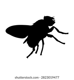 A black silhouette of an insect in flight, showcasing detailed wings and body structure, isolated on a plain background.