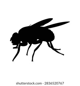 A black silhouette of an insect in flight, showcasing detailed wings and body structure, isolated on a white background for clarity.