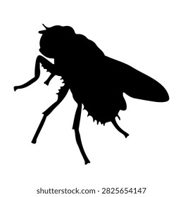 A black silhouette of an insect, possibly a fly or bee, with detailed wings and body structure, set against a plain white background.