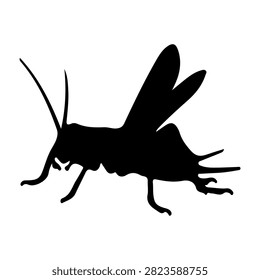 Black silhouette of an insect with wings, antennae, and detailed body structure, isolated on a white background.