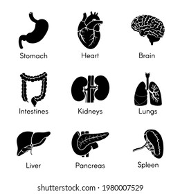 Black silhouette internal isolated organs set. Vector flat graphic design illustration