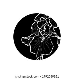 Black silhouette of iris flower in black circle. Graphic drawing. Vector illustration.