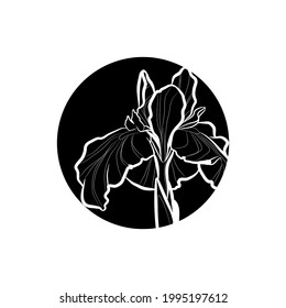 Black silhouette of iris flower in black circle. Graphic drawing. Vector illustration.