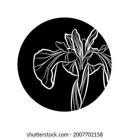 Black silhouette of iris flower in black circle. Graphic drawing. Vector illustration.