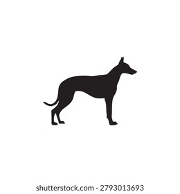 A black silhouette of an Irish wolfhound is shown against a white