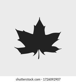 black silhouette of isolated maple leaf in gray or white background that is simple but detailed in shape.