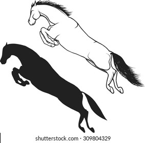 Black silhouette of a jumping horse. Vector drawing of a horse circuit with pursed forelegs.