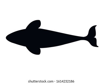 Black silhouette killer whale(Orcinus orca) cartoon animal design ocean mammal orca flat vector illustration isolated on white background