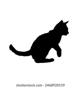 Black silhouette of a kitten. Cat silhouette. isolated, illustration	