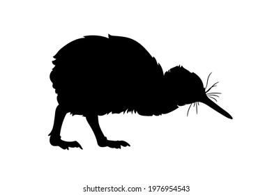 Black silhouette of kiwi bird on white background. Graphic drawing. Vector illustration.