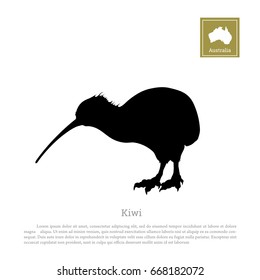 Black silhouette of kiwi bird on white background. Animals of Australia. Vector illustration 