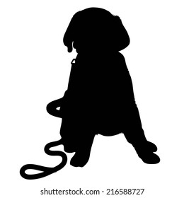 A black silhouette of a Labrador Retriever puppy with a leash by its side