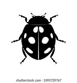 Black silhouette of ladybug on white background, insect. Flat design. Vector illustration.