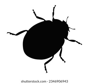 Black silhouette of ladybug on white background, insect.