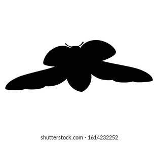 Black silhouette ladybug with open shell and wings flying beetle cartoon bug design flat vector illustration isolated on white background