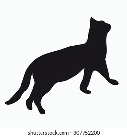 Black Silhouette Of A Large Adult Cat Isolated On A Light Background. The Cat Reaches Up And Prepares To Jump.