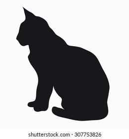 Black silhouette of a large adult cat isolated on a light background. The cat was hiding and sitting watching prey.