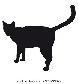 Black silhouette of a large adult cat isolated on a light background. The cat goes and waits for prey.