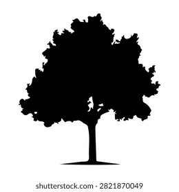 A black silhouette of a large, leafy tree with a broad canopy and sturdy trunk, set against a plain white background.