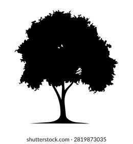 A black silhouette of a large, mature tree with dense, leafy canopy and sturdy trunk, isolated on a white background, emphasizing natural beauty and growth.
